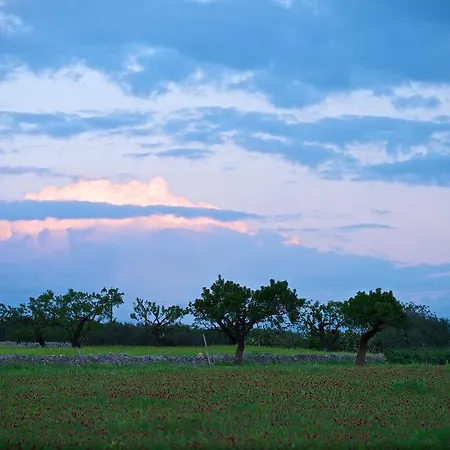 Masseria Ciavea Séjour à la ferme